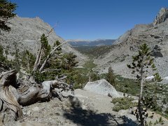 MineralKingLoop 208